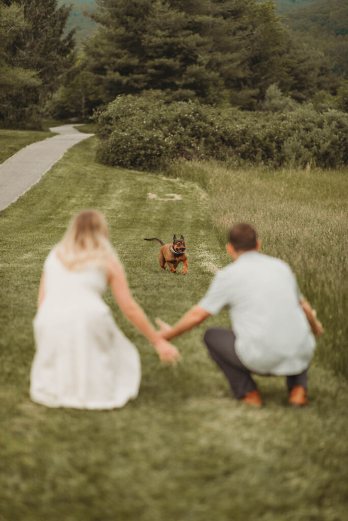 A woman and man watch their dog run to them during engagement photos at Heritage Community Park in Blacksburg, Virginia.