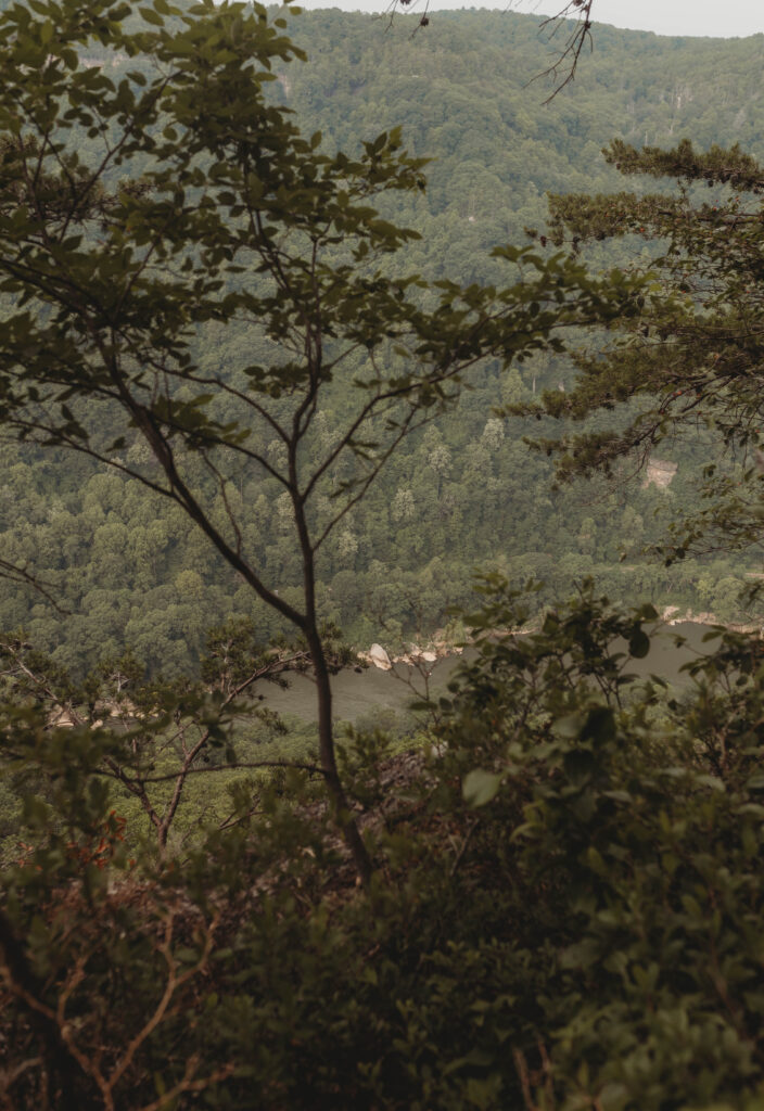 A view from a cliff of the top of the New River at the New River Gorge.