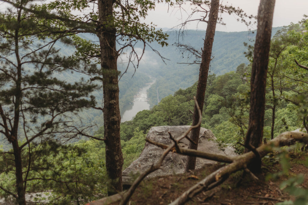 The New River is pictured surrounded by nature at the New River Gorge.