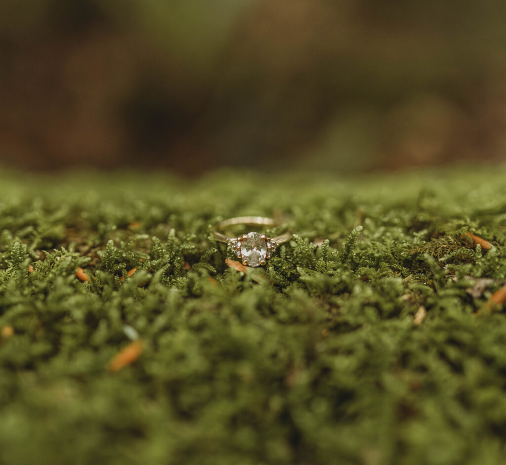 A beautiful diamond ring sits on moss at the New River Gorge.